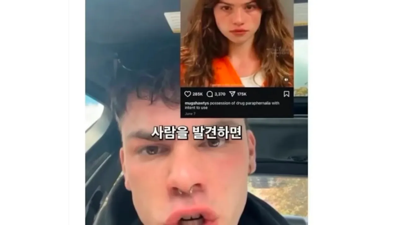 천룡인식 여친만들기