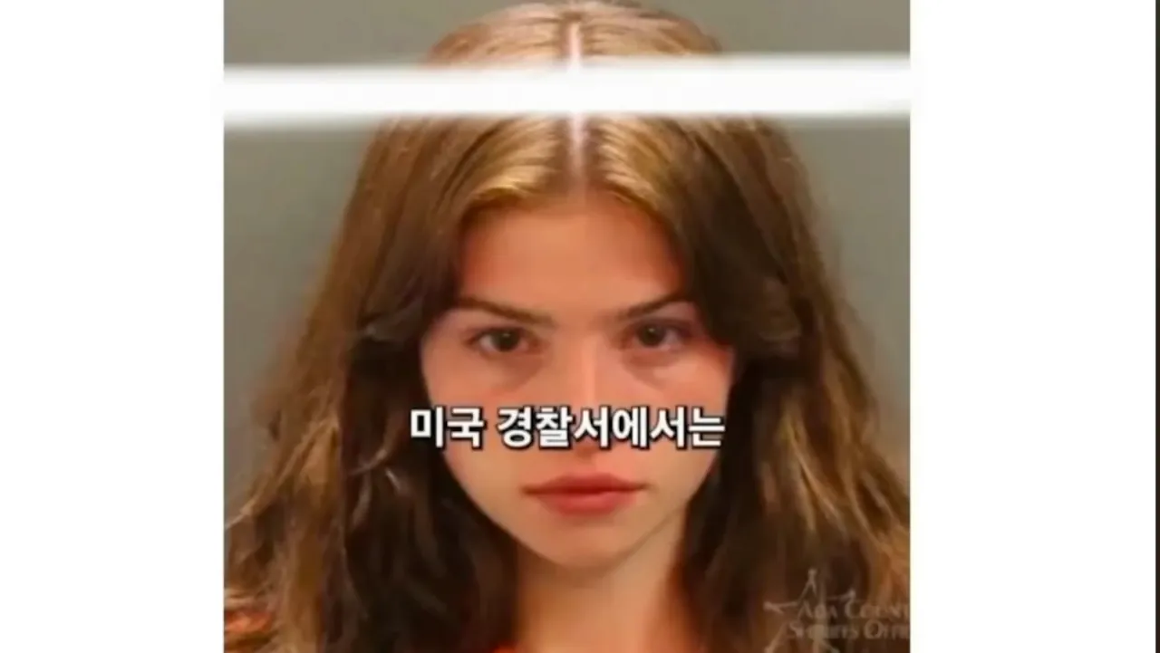 천룡인식 여친만들기